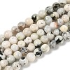 Natural Rainbow Moonstone Beads Strands G-H093-B01-8MM-2