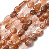 Natural Red Rabbit Fur Rutilated Quartz Beads Strands G-K395-A03-02-2