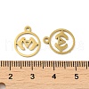 Ion Plating(IP) 304 Stainless Steel Charms STAS-J042-10G-3