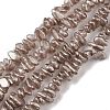Electroplate Glass Beads Strands GLAA-P062-B13-1