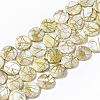 Drawbench Freshwater Shell Beads Strands SHEL-T014-012H-1