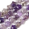 Natural Amethyst Star Beads Strands G-Z080-A04-2