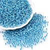 6/0 Transparent Inside Colours Glass Seed Round Beads X1-SEED-N006-004D-1