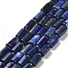 Natural Lapis Lazuli Beads Strands G-N327-06-13-1