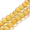 Natural Amber Beads Strands G-K308-C02-6mm-3