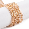 Electroplate Glass Beads Strands EGLA-D031-01T-2