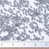 MIYUKI Delica Beads SEED-JP0008-DB1570-2