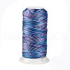 Segment Dyed Round Polyester Sewing Thread OCOR-Z001-B-05-1