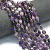 Natural Lepidolite Beads Strands G-C116-A09-02-1