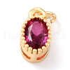 Real 18K Gold Plated Brass Inlaid Cubic Zirconia Charms ZIRC-L100-079G-03-2