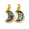 Rack Plating Brass Natural Paua Shell Pendants KK-U025-06G-02-1