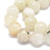 Natural Rainbow Moonstone Beads Strands G-O201A-17C-3