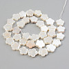 Electroplate Natural Freshwater Shell Beads Strands SHEL-T017-08-2