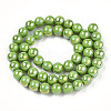 Electroplate Opaque Glass Beads Strands GLAA-T032-P8mm-AB06-3