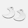 925 Sterling Silver Charms STER-I014-19S-1