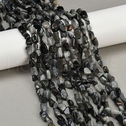 Natural Eagle Eye Stone Beads Strands G-Q060-D06-1