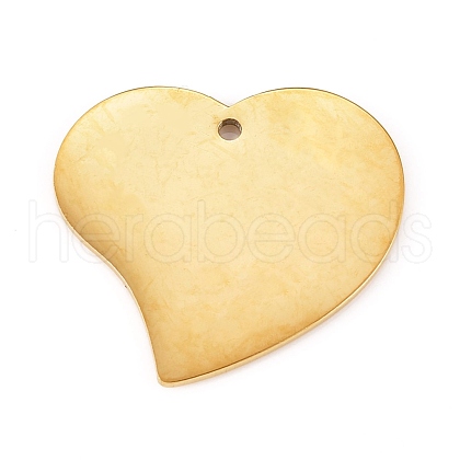 304 Stainless Steel Pendants STAS-L238-100B-G-1