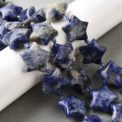 Natural Sodalite Beads Strands G-U023-C01-04-1