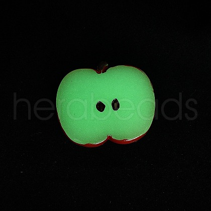 Luminous Resin Fruit Slice Display Decoration DJEW-B014-1