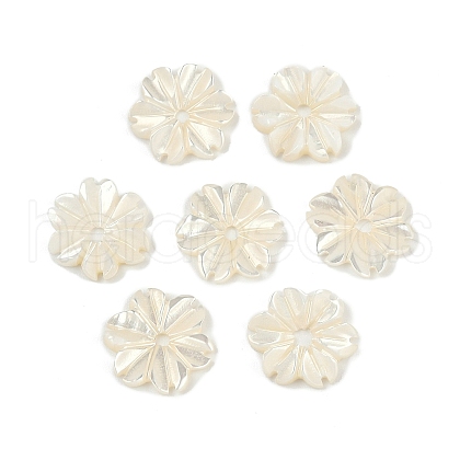 Natural Trochus Shell Flower Charms SHEL-K006-46B-1