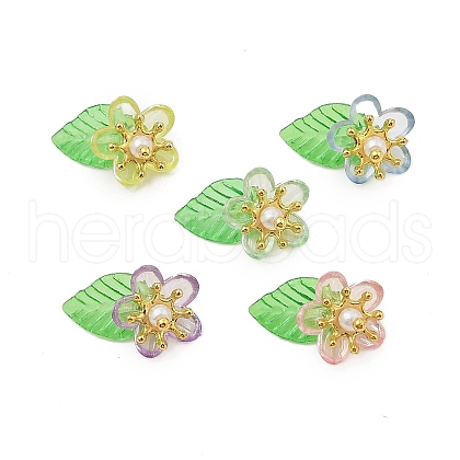 5Pcs Acrylic Pendants PALLOY-JF02962-1