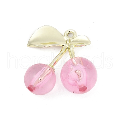 Alloy & Acrylic Pendants PALLOY-S053-01LG-C-1