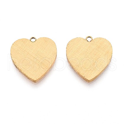 304 Stainless Steel Pendants STAS-N109-168G-1