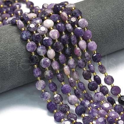 Natural Lepidolite Beads Strands G-C116-A09-02-1