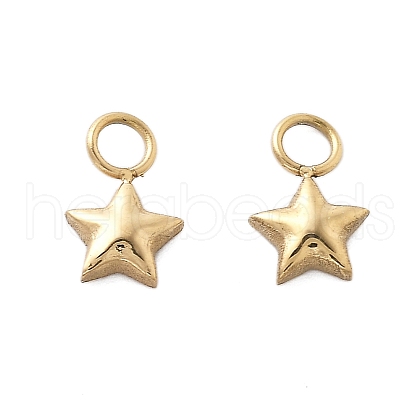 304 Stainless Steel Charms STAS-M111-32G-1