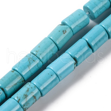 Natural Howlite Beads Strands G-H025-01-1