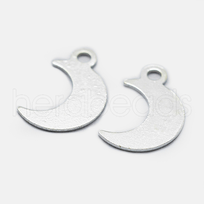 925 Sterling Silver Charms STER-I014-19S-1