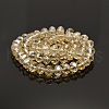 Pearl Luster Plated Faceted Rondelle Electroplate Glass Beads Strands GLAA-A024F-PL01-2