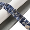 Natural Blue Spot Jasper Beads Strands G-L596-A07-01-2