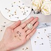 SUNNYCLUE 304 Stainless Steel Ear Stud Components STAS-SC0001-17-4