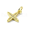 Brass Micro Pave Clear Cubic Zirconia Charms KK-H475-59G-04-2