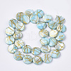 Drawbench Freshwater Shell Beads Strands SHEL-T014-012C-2