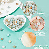 DICOSMETIC 2 Strands Natural Flower Amazonite Beads Strands G-DC0001-39-5