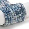 Natural Aquamarine Beads Strands G-B088-E10-04-1