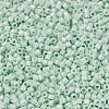 MIYUKI Delica Beads SEED-JP0008-DB1506-4