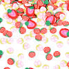 Handmade Polymer Clay Cabochons CLAY-N013-04-1