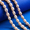 Natural Cultured Freshwater Pearl Beads Strands PEAR-N012-07G-5