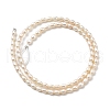 Natural Cultured Freshwater Pearl Beads Strands PEAR-I007-01O-01E-3