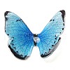 Transparent Resin Cabochons RESI-K031-01B-03-1