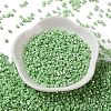 Baking Paint Glass Seed Beads X-SEED-S042-15A-08-2