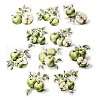 10Pcs Fruit PET Self-Adhesive Stickers DIY-K074-08E-2