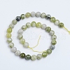 Natural Qinghua Jade Beads Strands G-G818-01-10mm-2