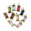 304 Stainless Steel Rhinestone Pendants STAS-E550-43G-1
