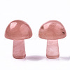 Cherry Quartz Glass GuaSha Stone G-N0325-02R-2