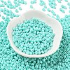 Baking Paint Glass Seed Beads SEED-H002-I-A525-2