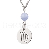 12Pcs 12 Styles 304 Stainless Steel Constellations Pendant Cable Chain Necklaces NJEW-JN05106-4
